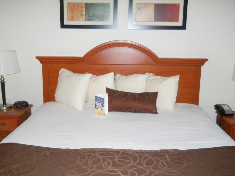 דנוויל Best Western Windsor Inn And Suites מראה חיצוני תמונה