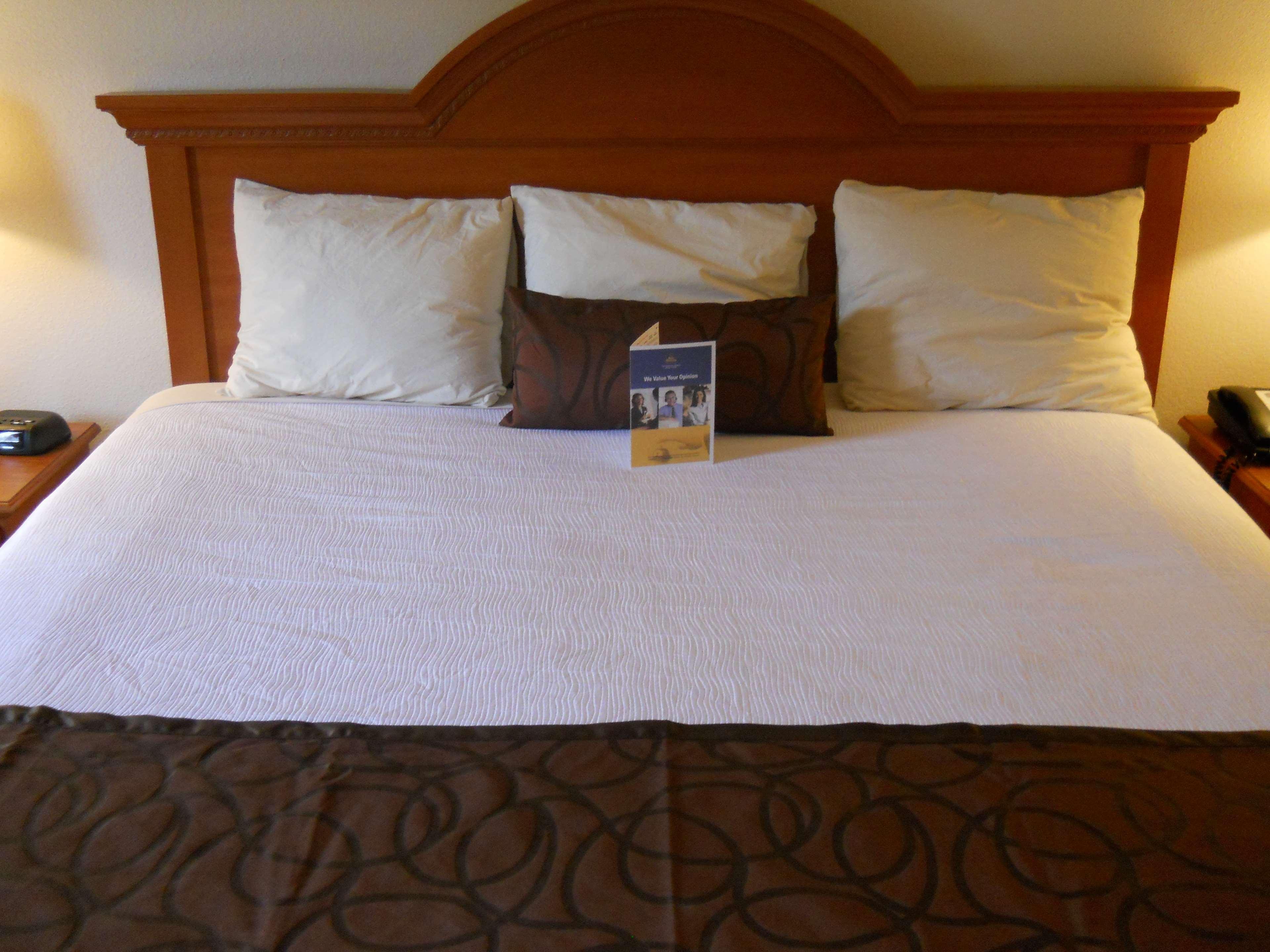 דנוויל Best Western Windsor Inn And Suites מראה חיצוני תמונה